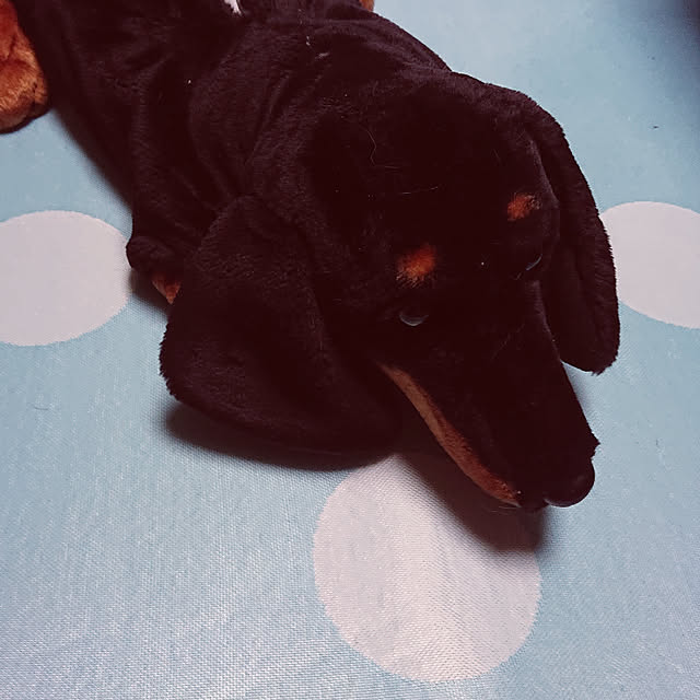 imsさんの実例写真
