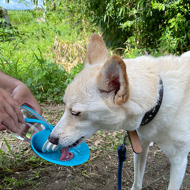 tanboさんの実例写真