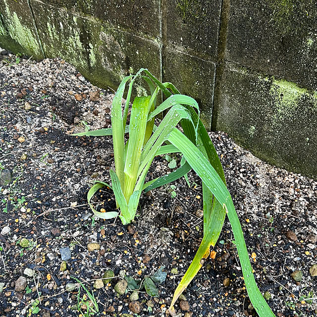 ritsukoさんの部屋