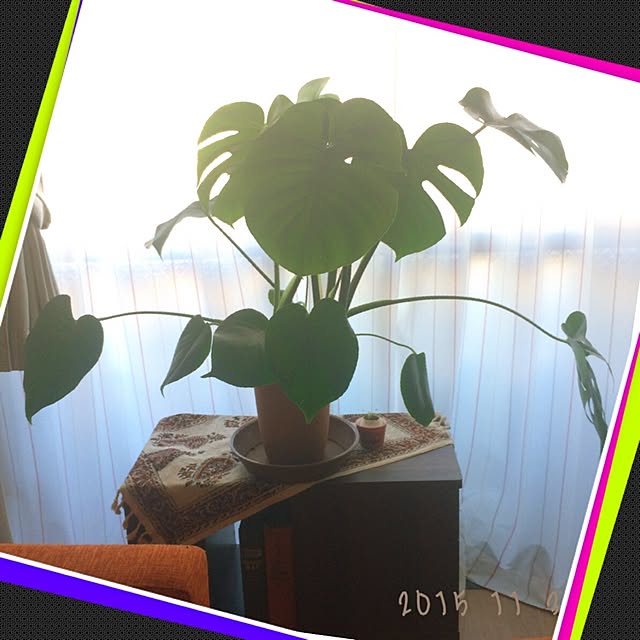 t.a.k.a.k.uuumさんの実例写真