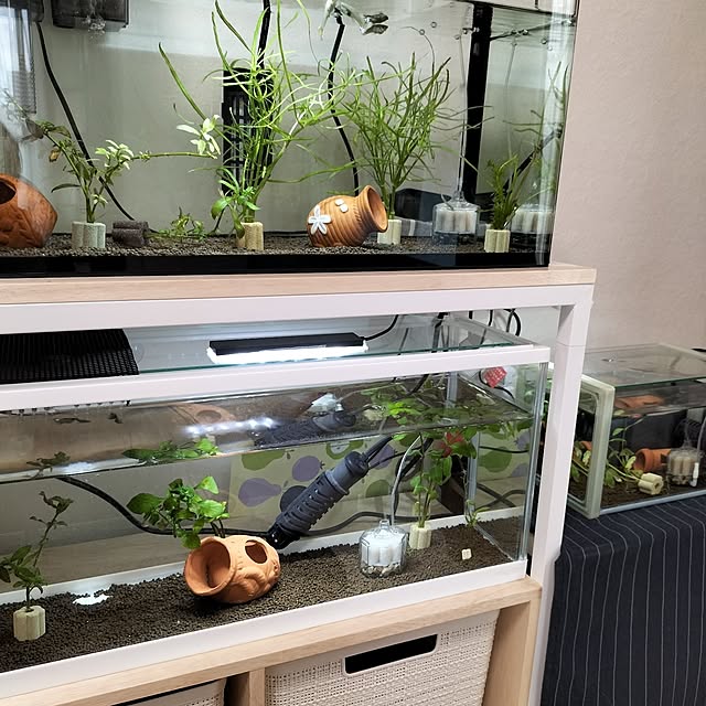 niniさんの部屋