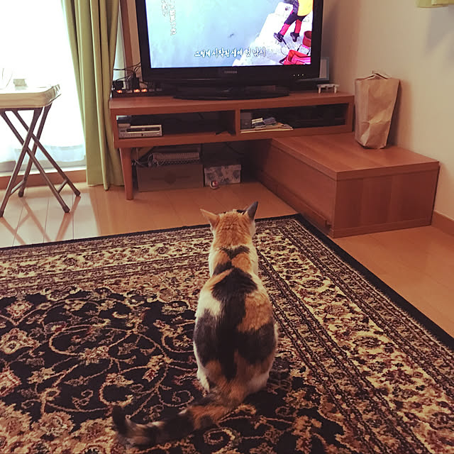 tacomozさんの実例写真