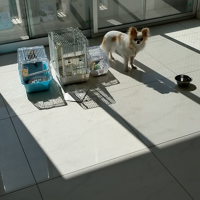 toratanさんの実例写真