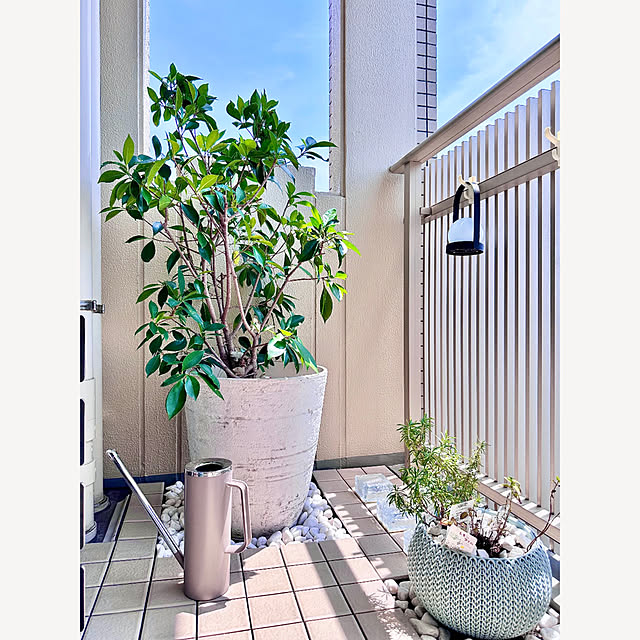 teracoyaWORLDさんの部屋