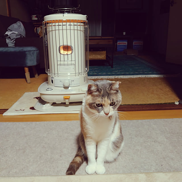 fukuさんの実例写真