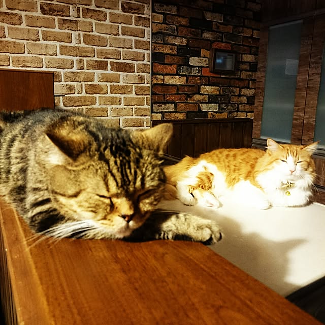 annさんの実例写真