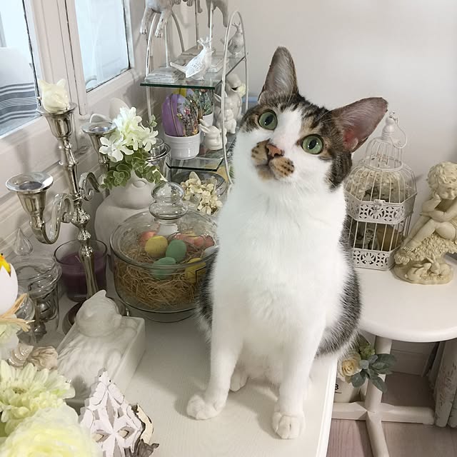 yuchiさんの実例写真