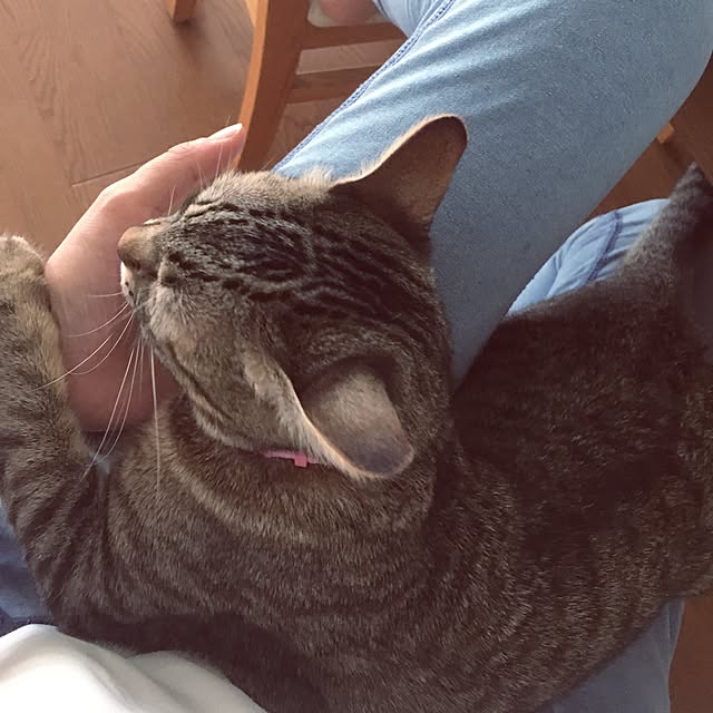 sayasさんの実例写真