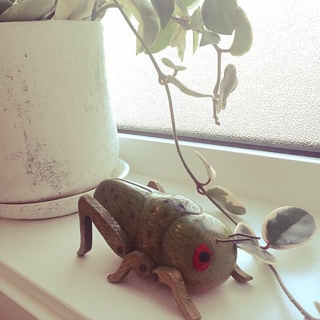 iwaさんの実例写真