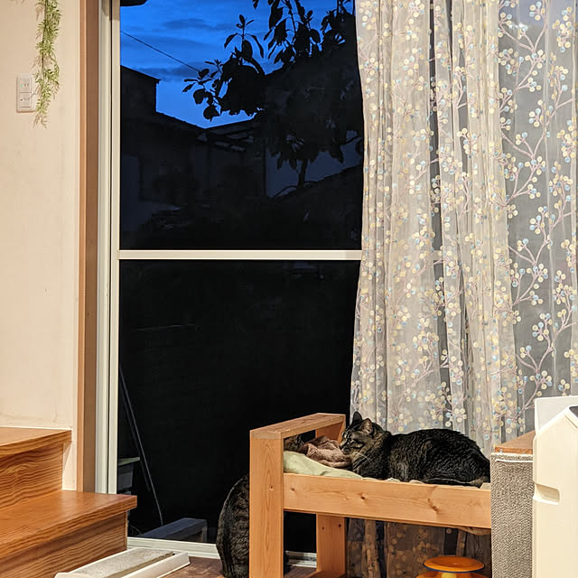 jacky-m-さんの実例写真