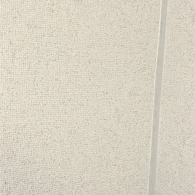 壁/天井のインテリア実例 - 2020-03-31 19:48:55