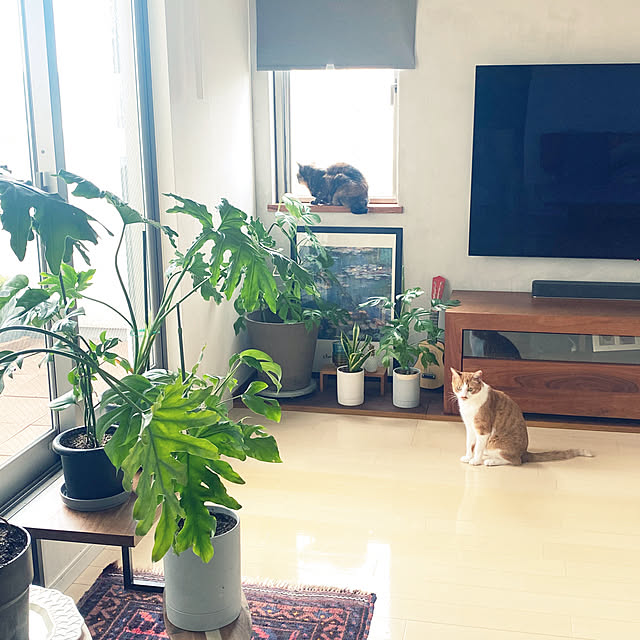 y.さんの実例写真
