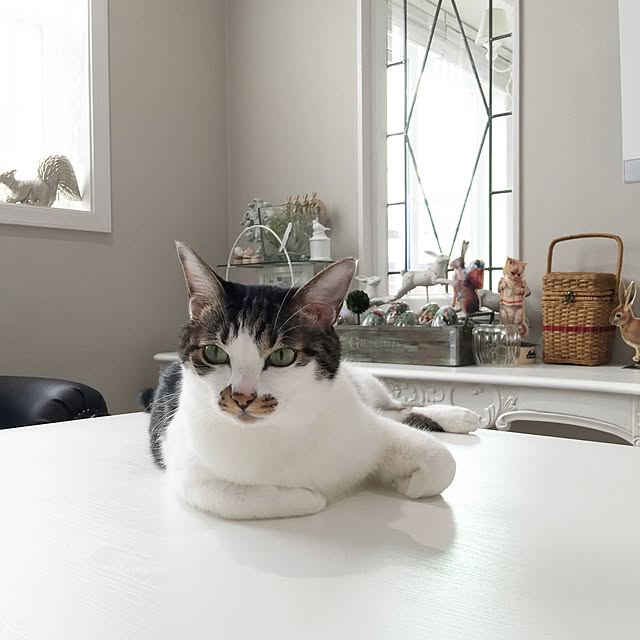 yuchiさんの実例写真