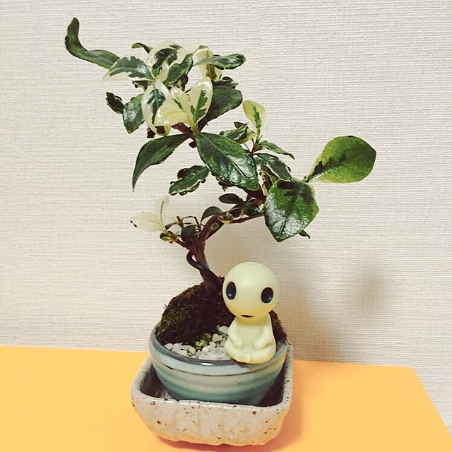 chi-さんの実例写真