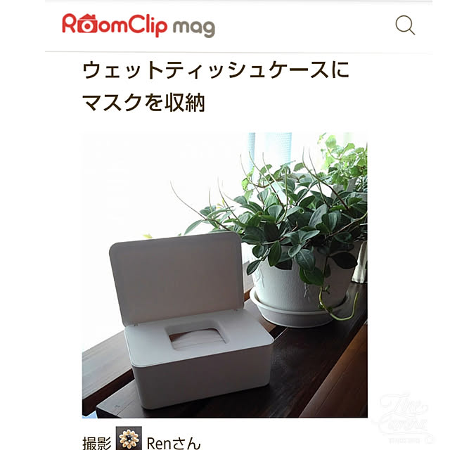 Renさんの実例写真