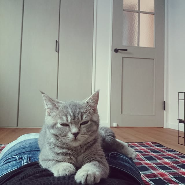 tamaさんの実例写真