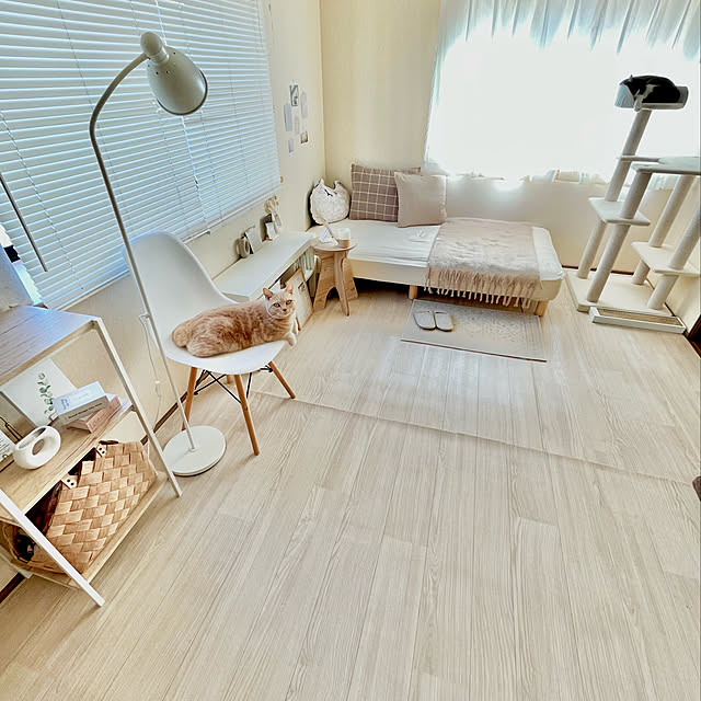 kiyomiさんの実例写真