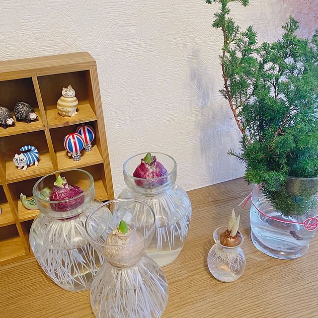 yukaさんの部屋