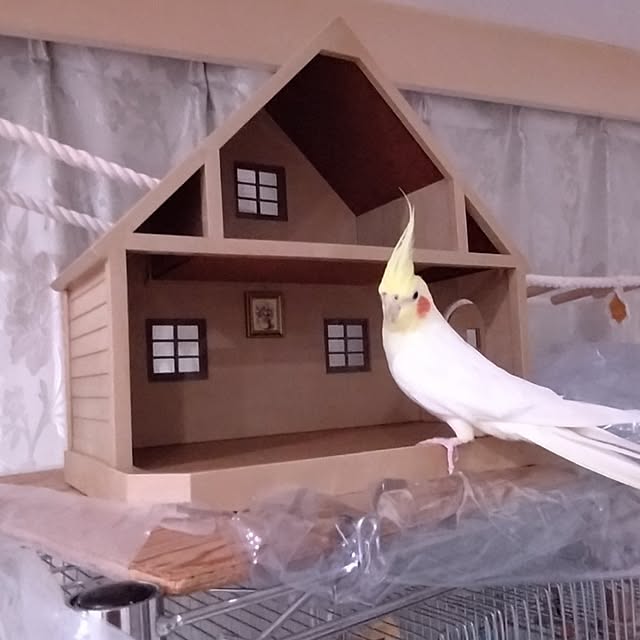 toratanさんの部屋