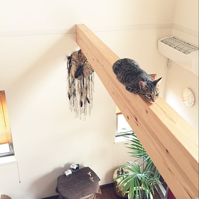 a.kndさんの実例写真