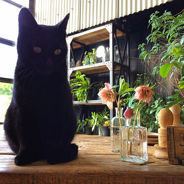 weさんの実例写真