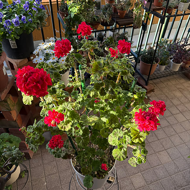 Aqettyさんの部屋