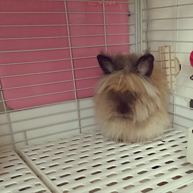 mさんの実例写真