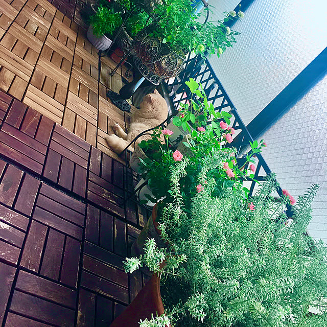 naokoさんの部屋