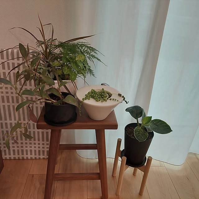 anmomaruさんの実例写真