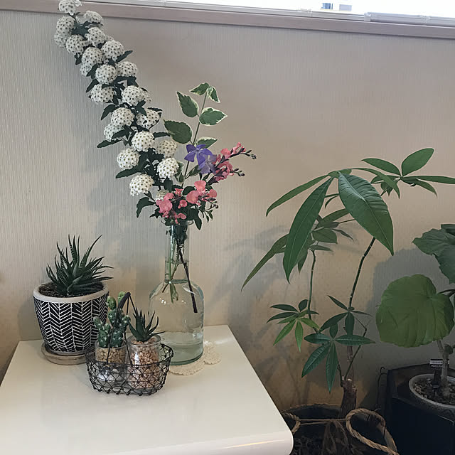 tanomamaさんの実例写真