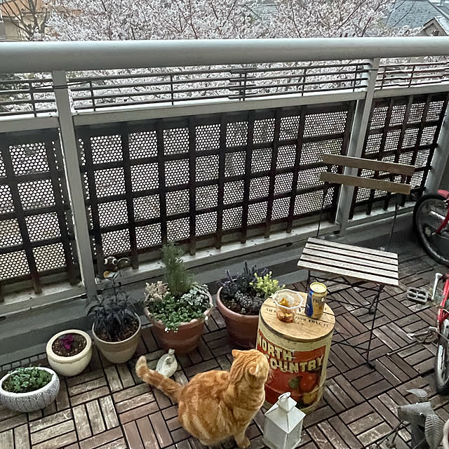 ponkkさんの実例写真