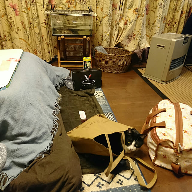 okyosan101さんの実例写真