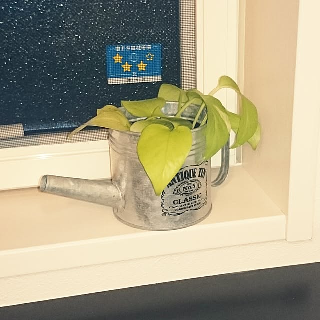 Kazuhiroさんの実例写真