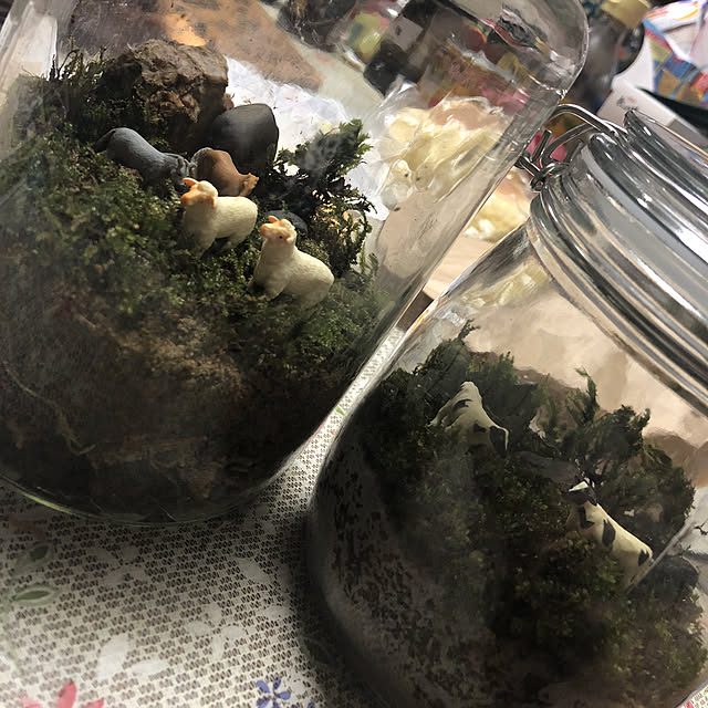 机/テラリウム/こけ/一人暮らし/カフェ風...などのインテリア実例 - 2018-08-11 21:48:35