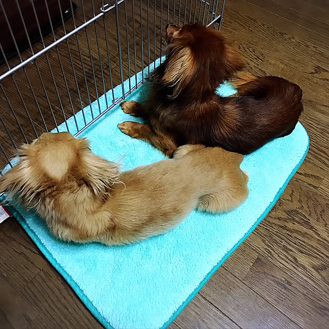 makiさんの実例写真