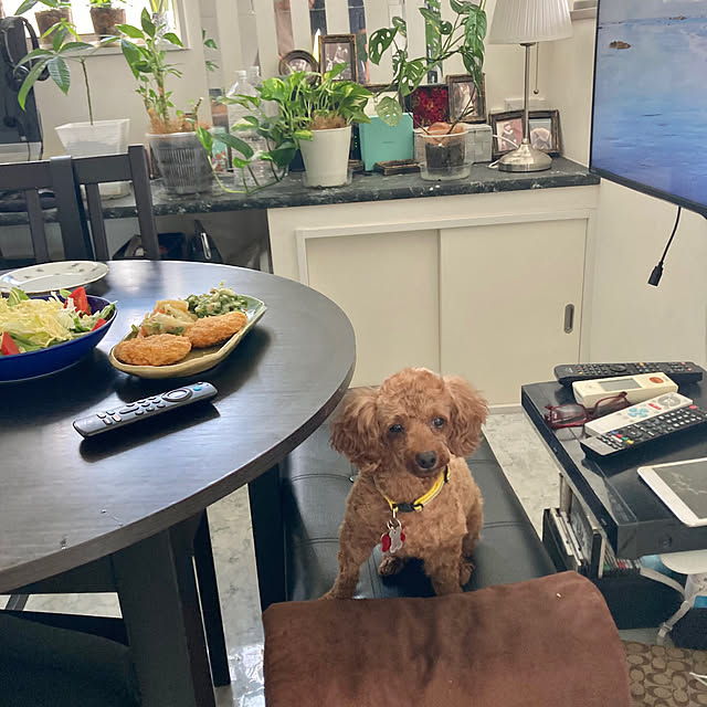 MOMOMAMAさんの部屋