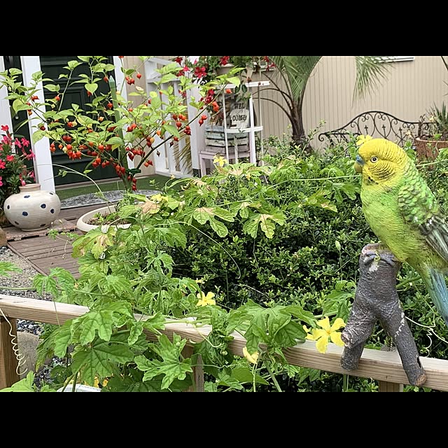 sixflagsさんの実例写真