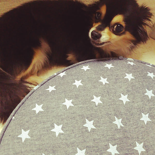 cocoさんの実例写真