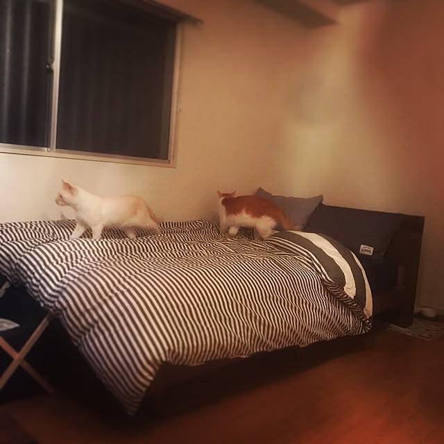 Keisukeさんの実例写真