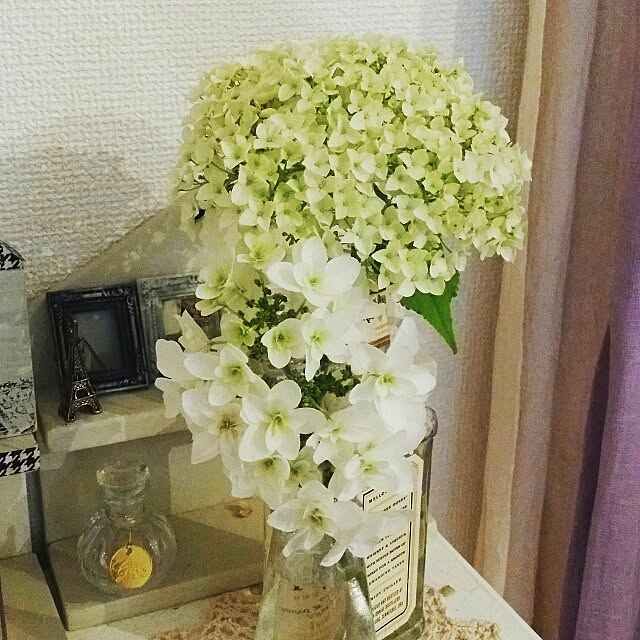 rocoさんの実例写真
