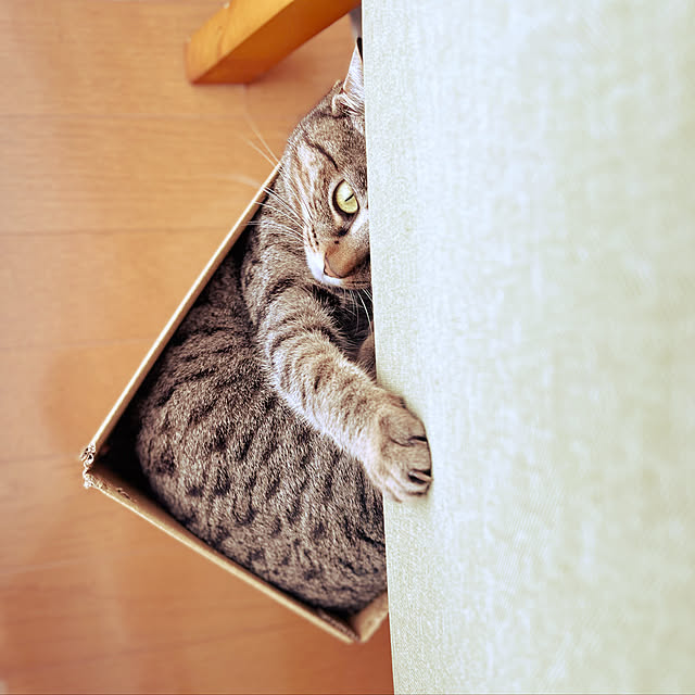 Mさんの実例写真