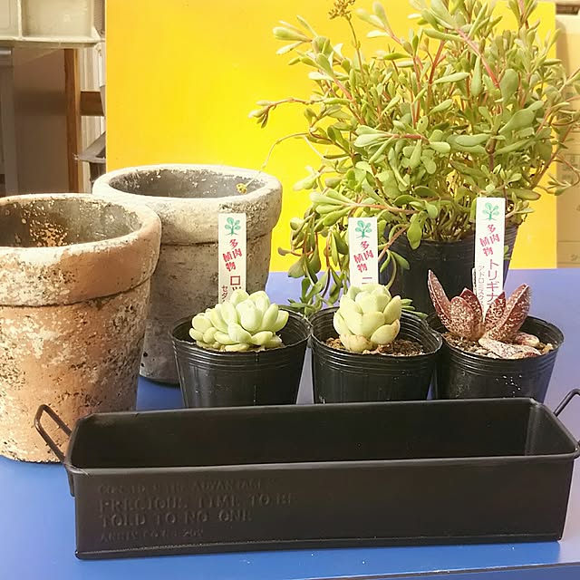 LittleMyさんの実例写真