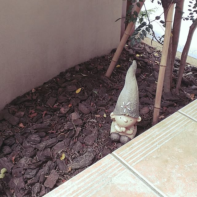 mogumoguさんの実例写真