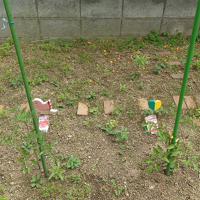 Harukaさんの実例写真