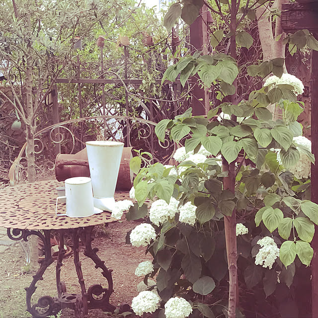 jasminさんの実例写真