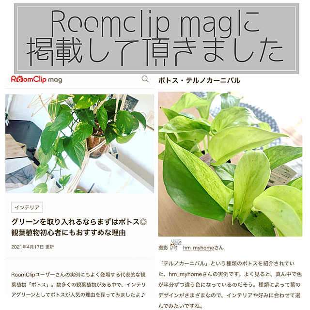 hm_myhomeさんの実例写真