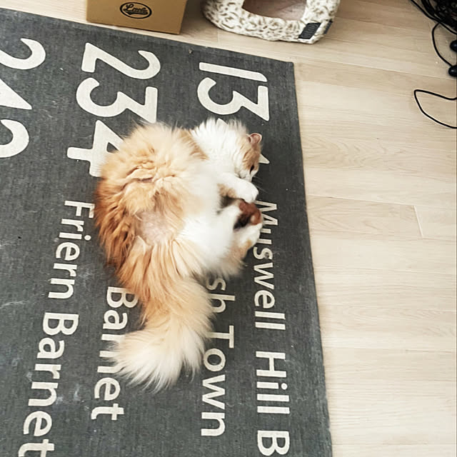 yuuchoさんの部屋