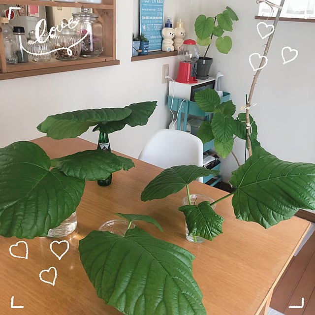 makkoさんの実例写真