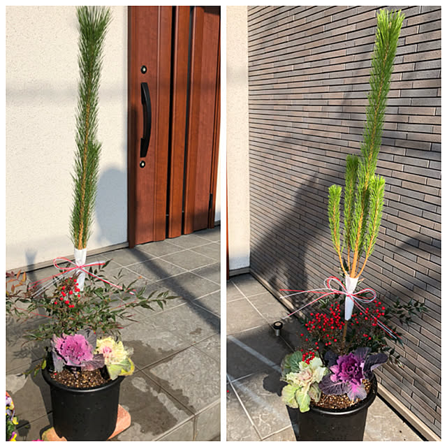 Kamoさんの実例写真
