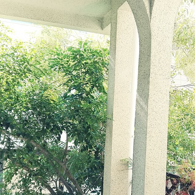 sunnyさんの実例写真